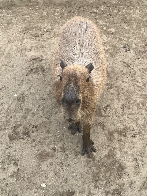 おはようございます?
