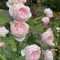 素敵な時間をありがとうございました?