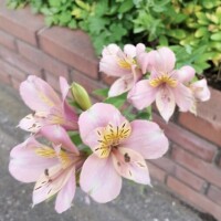 8月最後の夜?