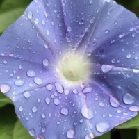 いつもの一日を少しだけ丁寧に過ごしてみようかな??