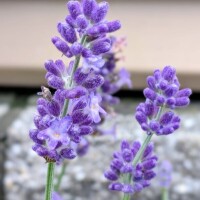 素敵な時間をありがとうございました?