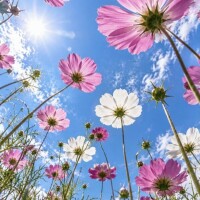 9月のシルバーウィークの出勤予定をお知らせします?