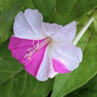 お兄様、今日は素敵なお時間をありがとうございました??