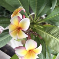 思いやりを大切に?