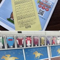 今日は競馬場へ??