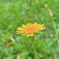 もう少し一緒にいたかったな?