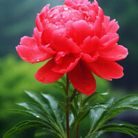 すみません