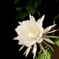 来週の出勤予定です???