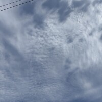 今日は中秋の名月?