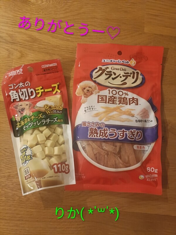 こんにちは( * ?? ?*)