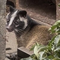 おはようございます?