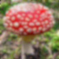 ?ゆきの簡単クイズ??