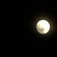 ?今日は中秋の名月