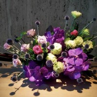 朝早くからありがとう?