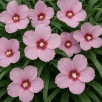 大切な人を想う気持ちが素敵でした?