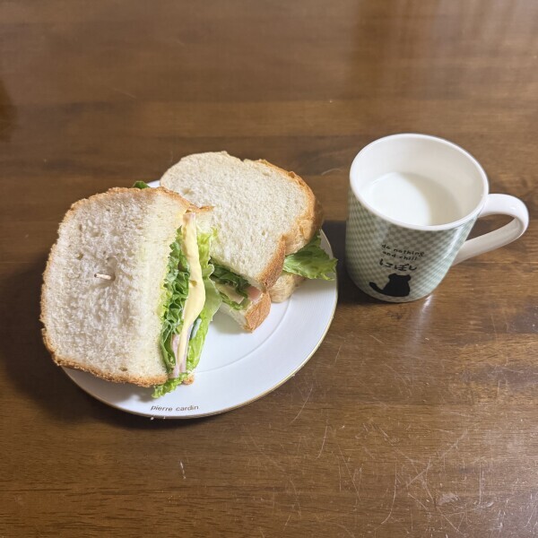 雨の朝になりました??