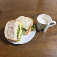 雨の朝になりました??