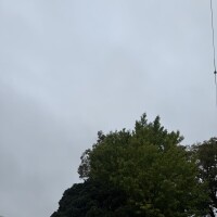 今日は一粒万倍日?