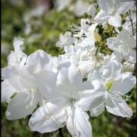 一緒に楽しい時間をありがとうございました?