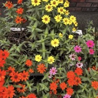 今日も素敵な時間をありがとうございました?