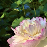 心に残る素敵な時間をありがとう??