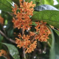 優しいお兄様、素敵なお時間をありがとう??