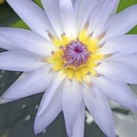 なんだか、懐かしい気持ちに&hellip;?