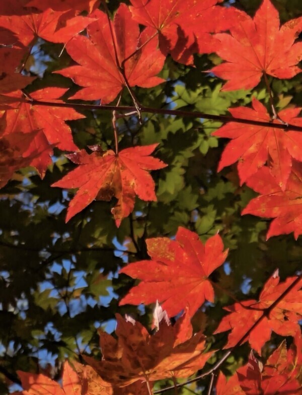 久しぶりのお兄様と、ほっこり温かなひととき???
