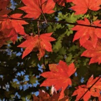 久しぶりのお兄様と、ほっこり温かなひととき???