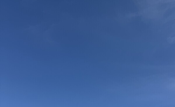 お兄様にとって、笑顔あふれる日曜日になりますように?