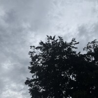 ゆきの、今日はちょっと寄り道中です???