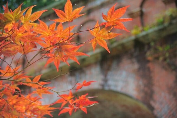 NoTitle