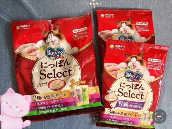 ニャンニャン?