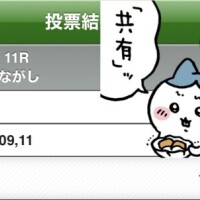 ??菊花賞???