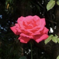 T様へ??楽しい時間をありがとう??