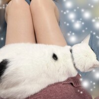 かわょ?