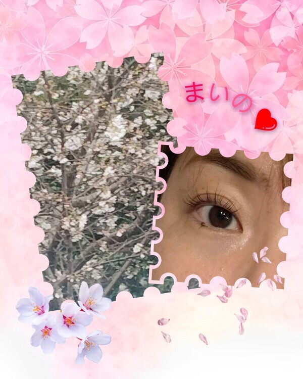我が家の?も