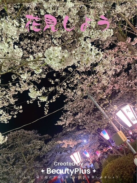 お花見?