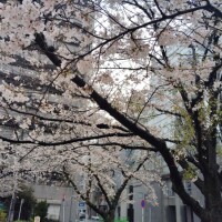 冨永ふうあ