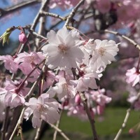 ☆4月後半の予定☆