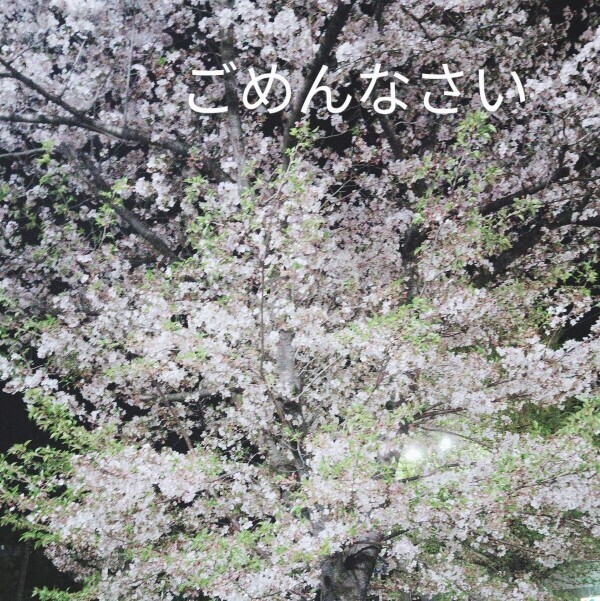 ごめんなさいm(_ _)m