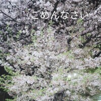 ごめんなさいm(_ _)m