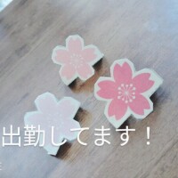 木村 まゆ