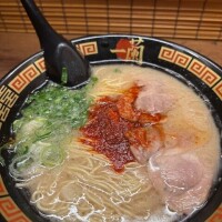 お久しぶりです
