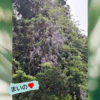 重ね重ね?