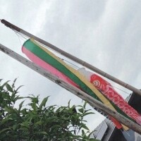 今日、明日いるよ?