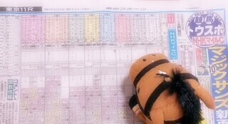 ◎アドマイヤズーム??&zwj;???&zwj;?