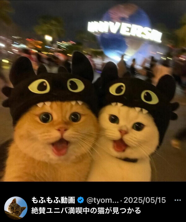 もみもみたぬきんパワー