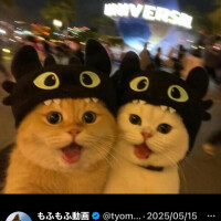 もみもみたぬきんパワー