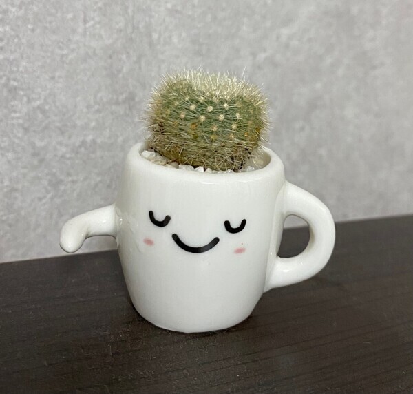 サボテン?